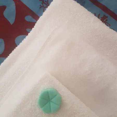 Гостьовий будинок Parfumerie 5 Terre